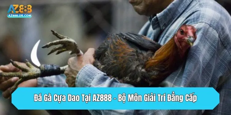 Đá Gà Cựa Dao Tại AZ888 - Bộ Môn Giải Trí Đẳng Cấp 2025