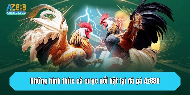 Những hình thức cá cược nổi bật tại đá gà Az888