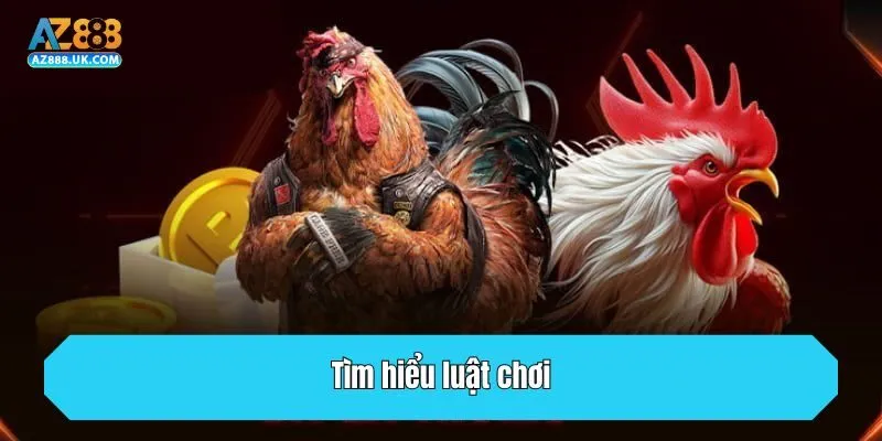 Tìm hiểu luật chơi